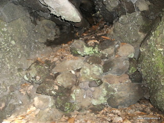 rderia-18-11-2012 12-02-22